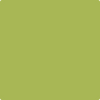 Benjamin Moore's paint color 405 Perennial from Cincinnati Color Company.