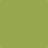 Benjamin Moore's paint color 406 Huntington Green from Cincinnati Color Company.