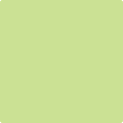Benjamin Moore's paint color 411 Celtic Folklore from Cincinnati Color Company.
