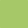 Benjamin Moore's paint color 412 Spring Hill Green from Cincinnati Color Company.