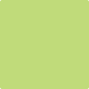 Benjamin Moore's paint color 417 Feel the Energy from Cincinnati Color Company.