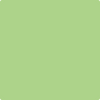 Benjamin Moore's paint color 425 Lime Twist from Cincinnati Color Company.