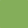 Benjamin Moore's paint color 427 Napa Vine Yards from Cincinnati Color Company.