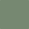 Benjamin Moore's paint color 454 Cedar Path from Cincinnati Color Company.