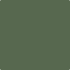 Benjamin Moore's paint color 455 Sweet Basil from Cincinnati Color Company.
