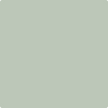 Benjamin Moore's paint color 465 Antique Jade from Cincinnati Color Company.