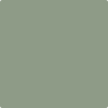 Benjamin Moore's paint color 467 High Park from Cincinnati Color Company.