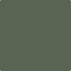 Benjamin Moore's paint color 469 Backwoods from Cincinnati Color Company.