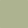 Benjamin Moore's paint color 481 Dill Weed from Cincinnati Color Company.