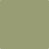 Benjamin Moore's paint color 482 Misted Fern from Cincinnati Color Company.