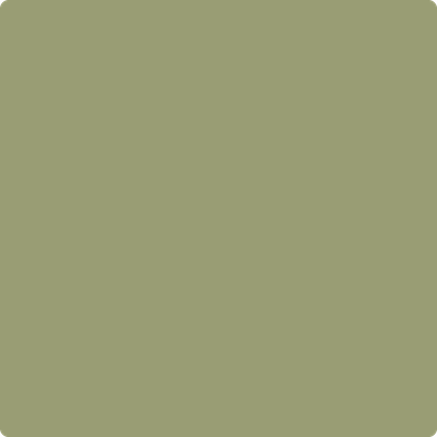 Benjamin Moore's paint color 482 Misted Fern from Cincinnati Color Company.