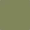Benjamin Moore's paint color 483 Home on the Range from Cincinnati Color Company.