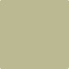 Benjamin Moore's paint color 494 Lewiville Green from Cincinnati Color Company.