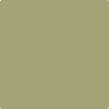Benjamin Moore's paint color 495 Hillside Green from Cincinnati Color Company.