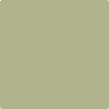 Benjamin Moore's paint color 502 Grasslands from Cincinnati Color Company.