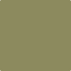 Benjamin Moore's paint color 504 Nature's Reflection from Cincinnati Color Company.