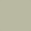 Benjamin Moore's paint color 508 Tree Moss from Cincinnati Color Company.