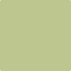 Benjamin Moore's paint color 537 Shades if Spring from Cincinnati Color Company.