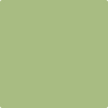 Benjamin Moore's paint color 543 Woodland Hills Green from Cincinnati Color Company.