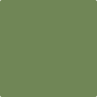 Benjamin Moore's paint color 546 Courtyard Green from Cincinnati Color Company.