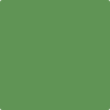 Benjamin Moore's paint color 553 Richmond Green from Cincinnati Color Company.