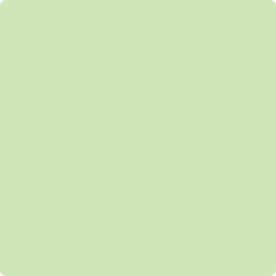 Benjamin Moore's paint color 555 O'Reilly Green from Cincinnati Color Company.