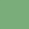 Benjamin Moore's paint color 565 Aurora Borealis from Cincinnati Color Company.