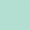 Benjamin Moore's paint color 604 Biscayne Shore from Cincinnati Color Company.