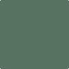 Benjamin Moore's paint color 637 Gothic Green from Cincinnati Color Company.