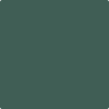 Benjamin Moore's paint color 644 Garden Cucumber from Cincinnati Color Company.