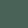 Benjamin Moore's paint color 693 Under the Sea from Cincinnati Color Company.
