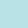 Benjamin Moore's paint color 750 Seabrook from Cincinnati Color Company.