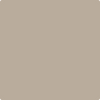 Benjamin Moore's paint color 997 Baja Dunes from Cincinnati Color Company.