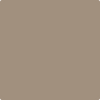 Benjamin Moore's paint color 998 Cabot Trail from Cincinnati Color Company.