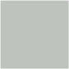 Benjamin Moore's paint color AF-490 Tranquillity from Cincinnati Color Company.