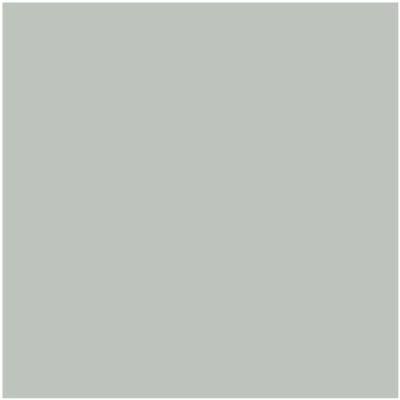 Benjamin Moore's paint color AF-490 Tranquillity from Cincinnati Color Company.