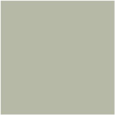 Benjamin Moore's paint color CC-550 October Mist from Cincinnati Color Company.