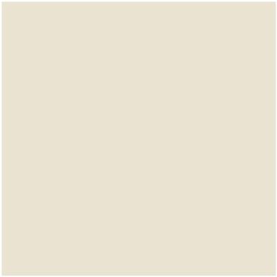 Benjamin Moore paint color CSP-215 Cake Batter at Cincinnati Colors in Concinatti, OH.