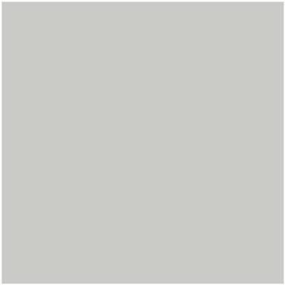 Benjamin Moore's paint color HC-170 Stonington Gray from Cincinnati Color Company.