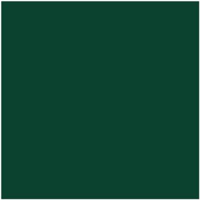 Benjamin Moore's paint color HC-189 Chrome Green from Cincinnati Color Company.