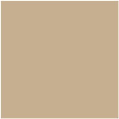 Benjamin Moore's paint color HC-44 Lenox Tan from Cincinnati Color Company.