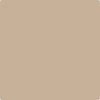 Benjamin Moore's paint color AF-130 Truffle from Cincinnati Color Company.