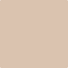 Benjamin Moore's paint color AF-190 Boudoir from Cincinnati Color Company.