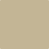 Benjamin Moore's paint color AF-380 Coastal Path from Cincinnati Color Company.