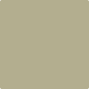 Benjamin Moore's paint color AF-400 Elemental from Cincinnati Color Company.