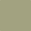 Benjamin Moore's paint color AF-405 Thicket from Cincinnati Color Company.