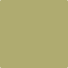 Benjamin Moore's paint color AF-420 Agave from Cincinnati Color Company.