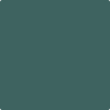 Benjamin Moore's paint color AF-510 Dragonfly from Cincinnati Color Company.