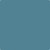 Benjamin Moore's paint color AF-525 Fiji from Cincinnati Color Company.