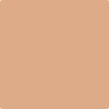 Benjamin Moore's paint color CC-186 Indian Summer from Cincinnati Color Company.